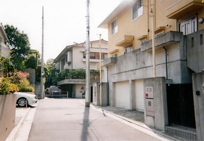155.jpg