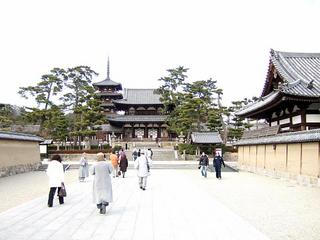 DSCF0603.jpg