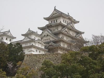 DSCF0653.jpg