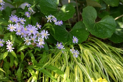 IMG_0009.jpeg