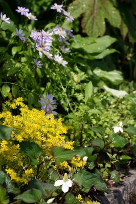 IMG_0017.jpeg