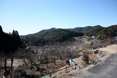 IMG_0263.jpg