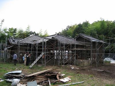 IMG_1047.jpg