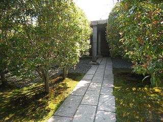 IMG_1742.jpg