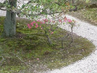 IMG_1931.jpg