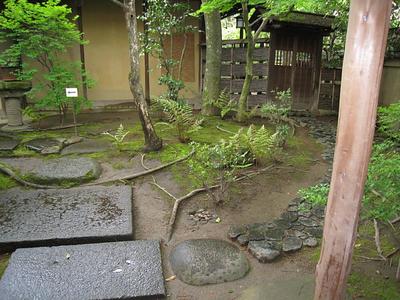 IMG_1976.jpg
