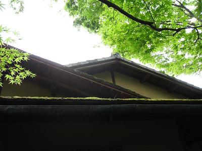IMG_1980.jpg