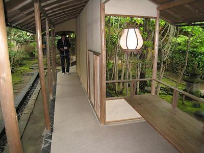 IMG_1991.jpg