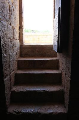 IMG_2122.jpg