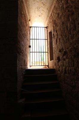 IMG_2145.jpg