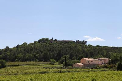 IMG_2176.jpg