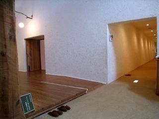 IMG_2333.jpg