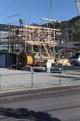IMG_2893.jpg