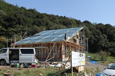 IMG_3503+1.jpg
