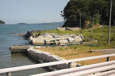 IMG_3556.jpg
