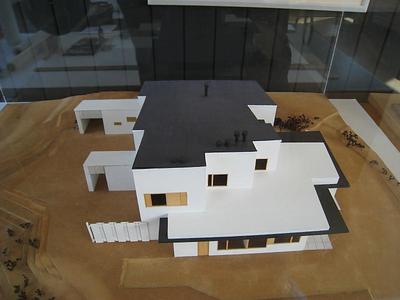 IMG_3779.jpg