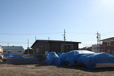 IMG_4894.jpg