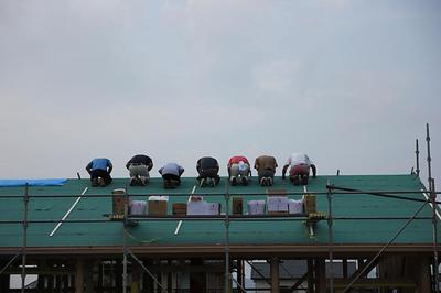 IMG_5594.jpg