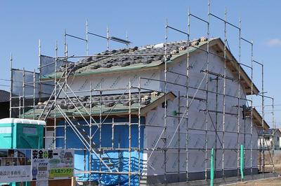 IMG_5656+1.jpg