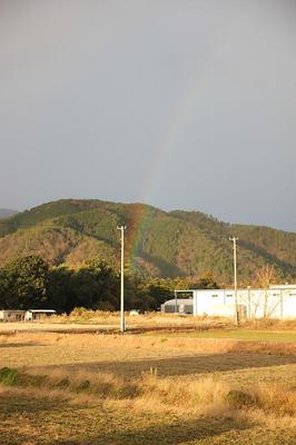 IMG_6349.jpg