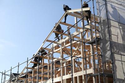 IMG_6563.jpg