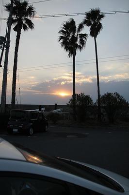 IMG_6567+1.jpg
