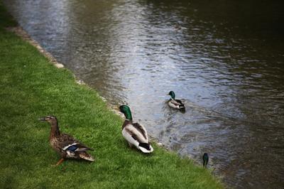 IMG_6905.jpg