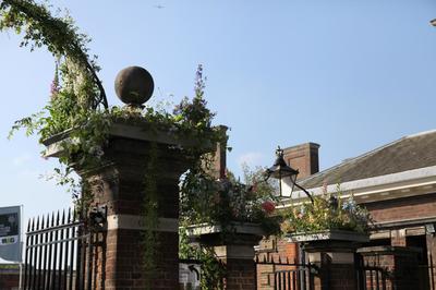 IMG_7080.jpg