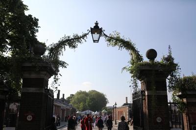 IMG_7081.jpg