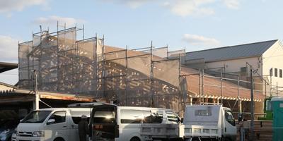 IMG_8412.jpg