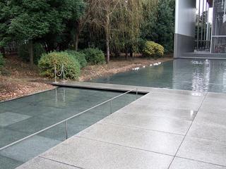 DSCF0563.jpg
