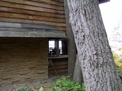 DSCF0827.jpg