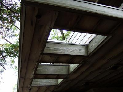DSCF0831.jpg