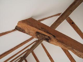 DSCF0928.jpg