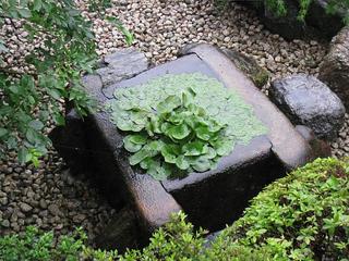 IMG_0934.jpg