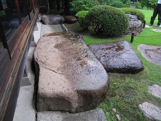 IMG_0939.jpg