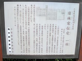 IMG_0982.jpg