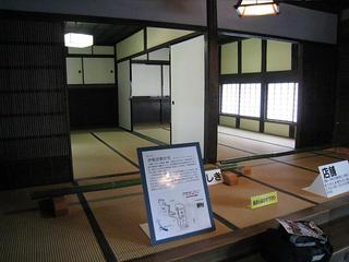 IMG_1028.jpg