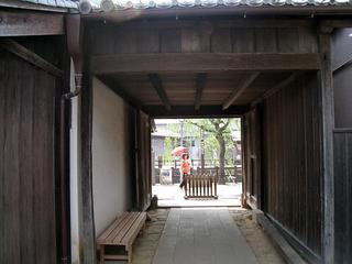 IMG_1033.jpg