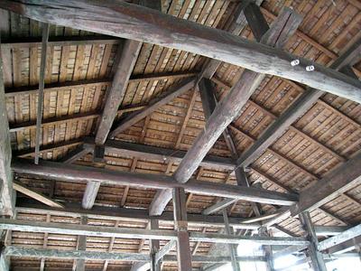 IMG_1055.jpg