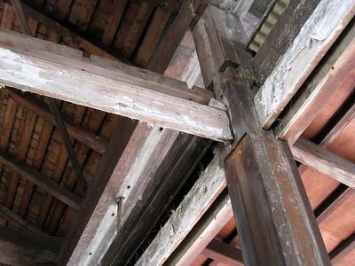 IMG_1058.jpg