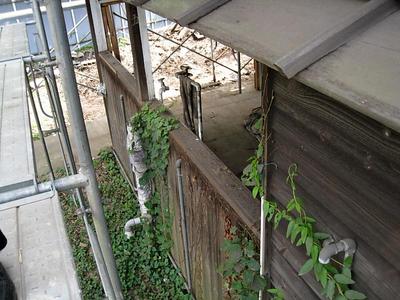 IMG_1085.jpg
