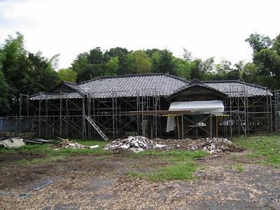 IMG_1086.jpg