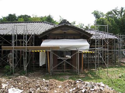 IMG_1087.jpg