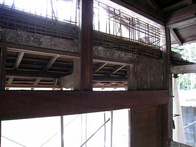 IMG_1094.jpg