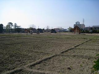 IMG_1717.jpg