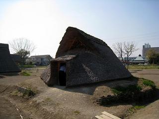 IMG_1724.jpg
