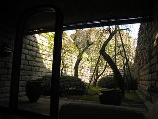 IMG_1748.jpg
