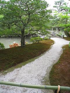 IMG_1945.jpg