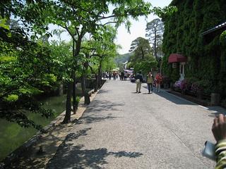 IMG_2049.jpg